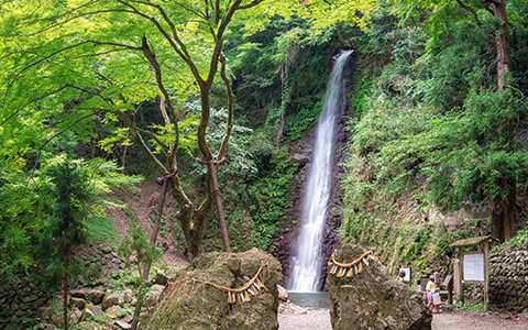 養老の滝・養老公園 画像