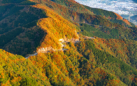 伊吹山ドライブウェイ 画像