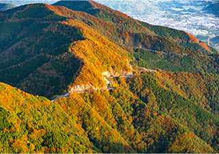 伊吹山ドライブウェイ 画像