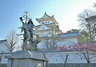 大垣城 画像