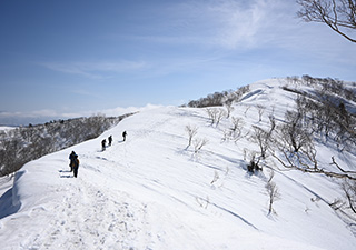 奥伊吹スキー場 画像